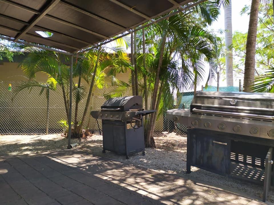 Hostel Palm Court Backpackers Katherine Exterior foto